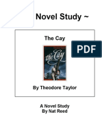 The Cay Novel Study