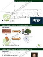 9th Biology - Chapter 1 The Fundamental Unit of Life