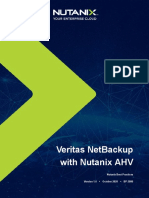 BP Veritas Netbackup Ahv