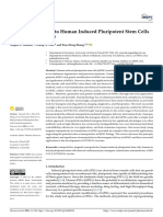 Transgene Delivery To Human Induced Pluripotent Stem Cells Using Nanoparticles