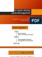 03 - Metabolisme Protein - Monogastrik