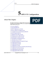 01-05 MPLS TE Configuration