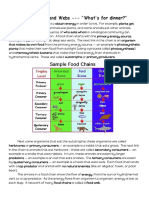 Food Chains and Webs Worksheets