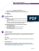 Types of Tissue - Muscle Tissue