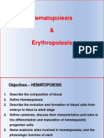 LECTURE 2 - HEMATOPOIESIS and ERYTHROPOIESIS - 10 - 17 - 2020