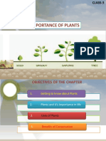 Importance of Plants