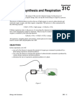 Photosynthesis and Respiration: Experiment