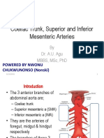 Coeliac Trunk, Superior and Inferior Mesenteric Arteries