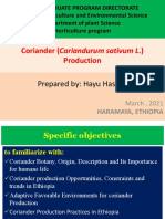 Coriander (Cariandurum Sativum L.) Production in Ethiopia