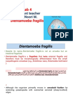 Assistant Teacher Tiba Noori M.: Dientamoeba Fragilis