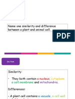 B1 - Lesson 4 - Specialised Cells