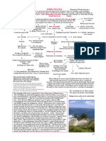 Lee Homeopathic Mind Maps Remedies Plant Kingdom Sample