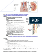 PDF Module 10 Urinary System Drugs