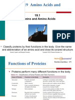 19.1 Proteins and Amino Acids