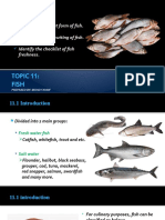 Topic 11 Fish