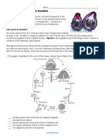 Investigation: Meiosis in Sordaria: Life Cycle of Sordaria