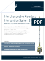 ST&R Interchangeable Riserless Intervention System (IRIS)