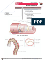 Aortic Dissection Atf