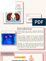 Anatomy and Physiology of Adrenal Glands