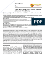 Diversity of Arbuscular Mycorrhizal Fungi Spores in Maize (Zea Mays L.) Plantations in Côte D'ivoire