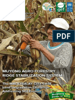 Muyong Agro Forestry Ridge Stabilization System