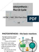 206 L6 Photosynthesis C3 