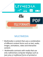 Multimedia and File Formats