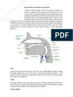 Human Speech Organs