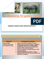 EL1 - Raise Organic Hogs