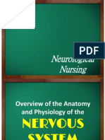 Neuro Anatomy Neuro Assessment