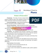 Morphology of Flowering Plants