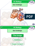 Gas Exchange Cystic Fibrosis & Genetic Screening