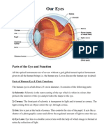 Parts of The Eye and Function