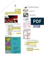 Cytogenetics Midterm 2