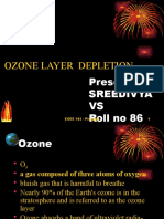 Ozone Layer Depletion 