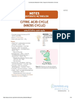 Carbohydrate Metabolism Notes - Diagrams & Illustrations - Osmosis