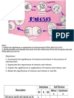 LS 6-Cell-Cycle Mitosis