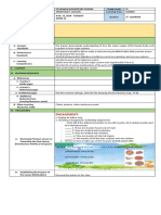 Cot DLP Digestive System 1