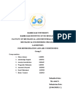 Rac Lab Report