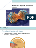 Cell Cycle