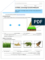 Food Chains Food Webs and Energy Pyramids Webquest LS24-1