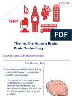 Theme: The Human Brain. Brain Technology: Grade 11