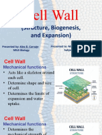 Cell Wall