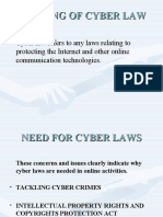 Cyber Laws