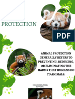 Green Organic Shape Animal Conservation Presentation 2