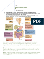 Carbohydrate Metabolism