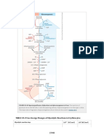 Gluconeogenesis