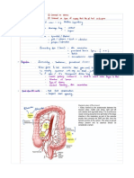 Short Case - Stoma Examination