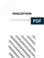 Perception: DR Sireesha Mamidenna