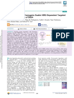 Antibody Conjugate Protac